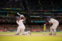 Cricket